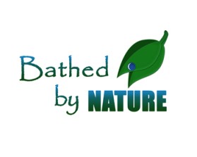 Logo Design entry 157184 submitted by mygreenday69