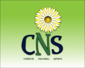 Logo Design Entry 167859 submitted by dont-flinch to the contest for CNS, Inc. run by saleemxa