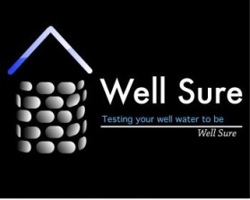 Logo Design entry 175049 submitted by werd to the Logo Design for Well Sure  run by rosewatersystem