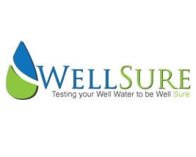Logo Design entry 175078 submitted by traceygl to the Logo Design for Well Sure  run by rosewatersystem