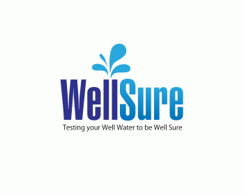 Logo Design entry 175213 submitted by cj38 to the Logo Design for Well Sure  run by rosewatersystem