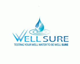 Logo Design entry 175161 submitted by werd to the Logo Design for Well Sure  run by rosewatersystem
