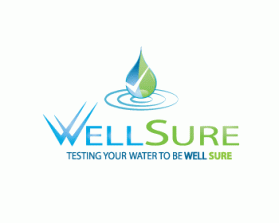 Logo Design entry 175210 submitted by werd to the Logo Design for Well Sure  run by rosewatersystem