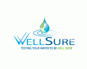 Logo Design entry 175214 submitted by DarDerDor  to the Logo Design for Well Sure  run by rosewatersystem