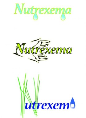 Logo Design entry 25814 submitted by lister to the Logo Design for Nutrexema run by jrothman