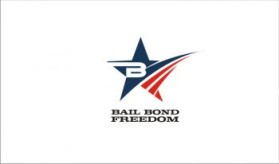 Logo Design Entry 185018 submitted by Better to the contest for BailBondFreedom.com run by LeadRival