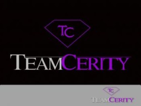Logo Design entry 187994 submitted by newbie to the Logo Design for TeamCerity run by teamcerity