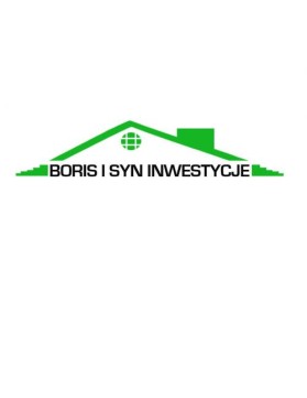 Logo Design entry 26426 submitted by infoisoft to the Logo Design for Borys i Syn Inwestycje run by dawidborys