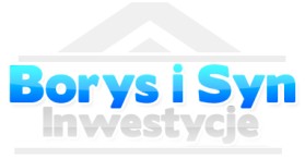 Logo Design entry 26427 submitted by gozzi to the Logo Design for Borys i Syn Inwestycje run by dawidborys