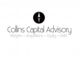 Logo Design entry 189927 submitted by newbie to the Logo Design for Collins Capital Advisory run by mkolpin