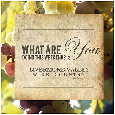 Logo Design entry 27007 submitted by Nicjec to the Logo Design for Livermore Valley Winegrowers Association run by Chris