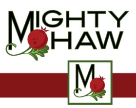 Logo Design entry 190222 submitted by quiksilva to the Logo Design for Mighty Haw run by RayL16