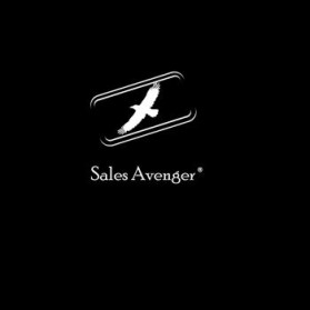 Logo Design entry 192175 submitted by werd to the Logo Design for salesavenger.com run by tjones@wedoloans.com
