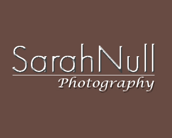 Logo Design entry 186209 submitted by Lorna