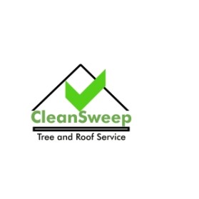 Logo Design entry 27463 submitted by mbrown22 to the Logo Design for Clean Sweep Tree and Roof Service run by catanuba23