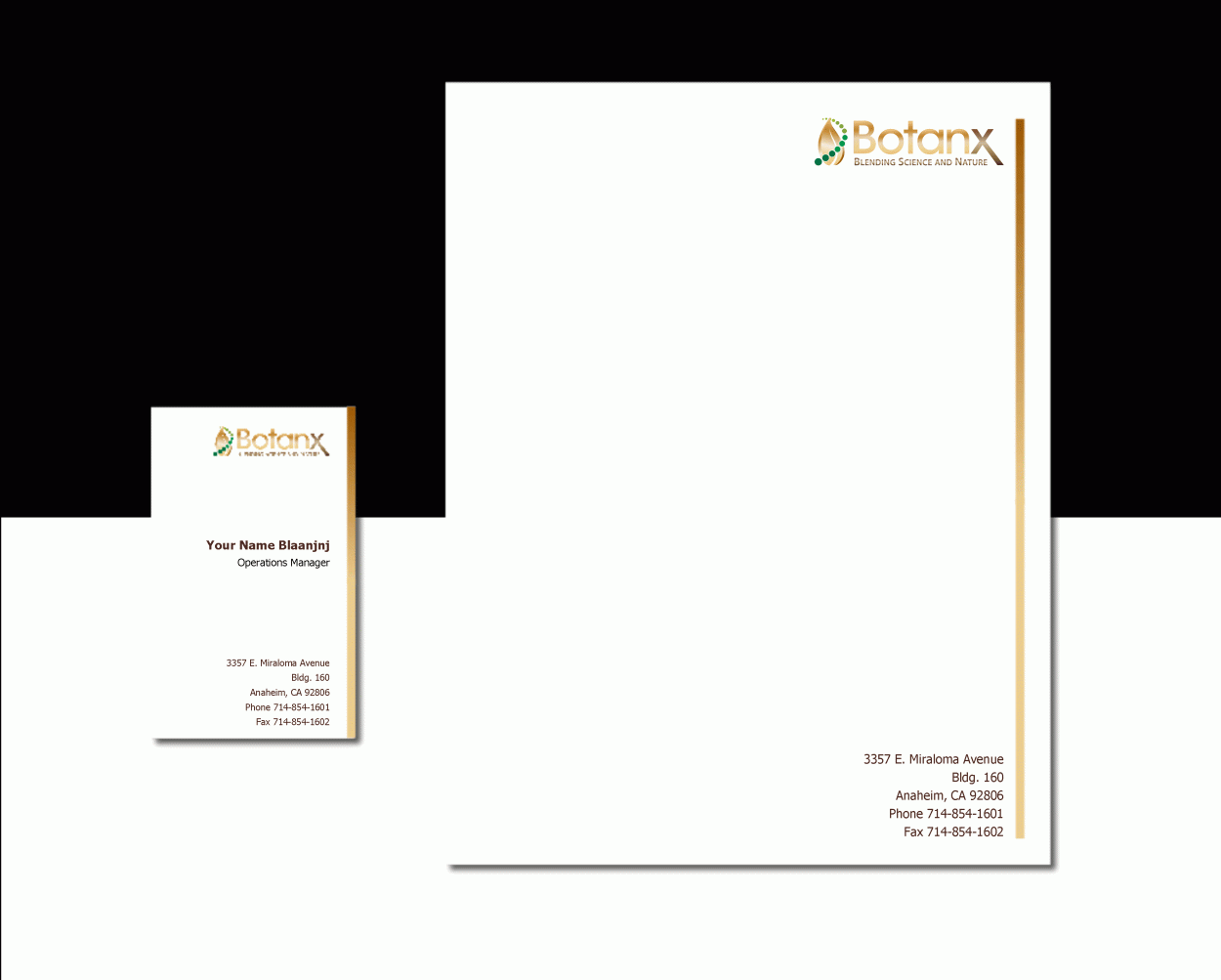 Business Card & Stationery Design entry 228650 submitted by santacruzdesign