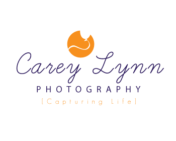 Logo Design entry 230431 submitted by forindet