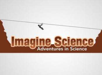 Logo Design entry 244410 submitted by Makaveli Designs to the Logo Design for Imagine Science Foundation run by drhgames