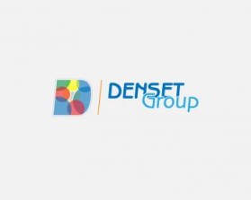 Logo Design entry 245599 submitted by traceygl to the Logo Design for DENSET Group run by Baranov