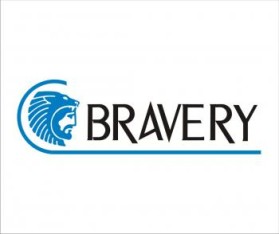 Logo Design entry 257562 submitted by marukas to the Logo Design for BraveryInc.com run by briankulbaba