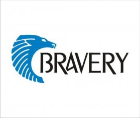 Logo Design entry 257563 submitted by marukas to the Logo Design for BraveryInc.com run by briankulbaba