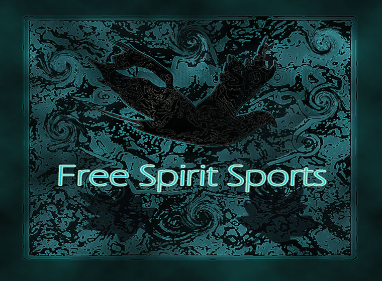 T-Shirt Design entry 259297 submitted by OriginalDesigns to the T-Shirt Design for Free Spirit Sports & Leisure  run by freespirit