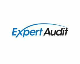 Logo Design entry 265293 submitted by offerwerks to the Logo Design for Expert Audit run by charvey
