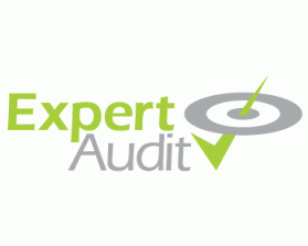 Logo Design entry 265320 submitted by christine to the Logo Design for Expert Audit run by charvey