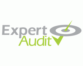 Logo Design entry 265321 submitted by glassfairy to the Logo Design for Expert Audit run by charvey