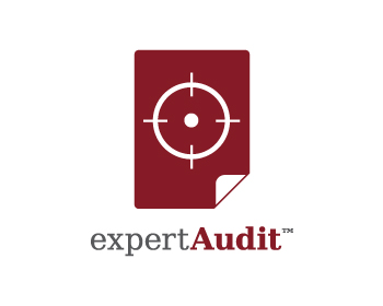 Logo Design entry 265337 submitted by anticonnex to the Logo Design for Expert Audit run by charvey