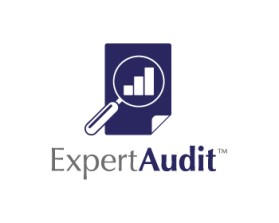 Logo Design entry 265338 submitted by raymer to the Logo Design for Expert Audit run by charvey