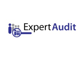 Logo Design entry 265421 submitted by F ective D zine to the Logo Design for Expert Audit run by charvey