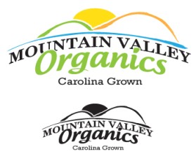 Logo Design entry 265497 submitted by rastf2day to the Logo Design for Mountain Valley Organics run by melinda