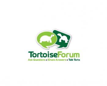 Logo Design entry 274064 submitted by Hyo_Yeon_Art to the Logo Design for Tortoise Forum run by jbarraza