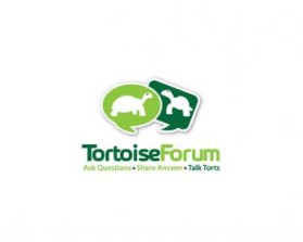Logo Design entry 274079 submitted by Hyo_Yeon_Art to the Logo Design for Tortoise Forum run by jbarraza