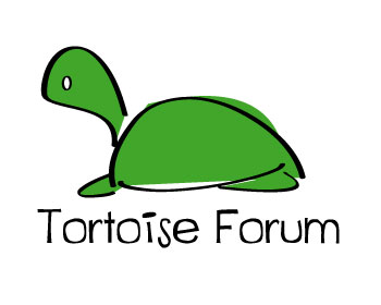 Logo Design entry 274084 submitted by castiza to the Logo Design for Tortoise Forum run by jbarraza