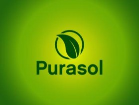 Logo Design entry 276652 submitted by g'twtz to the Logo Design for Purasol run by Harry Amin