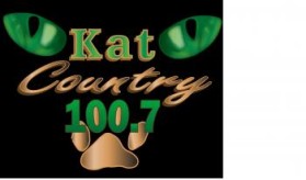 Logo Design Entry 282339 submitted by seadams88 to the contest for Bosomo - Kat Country run by bosomo