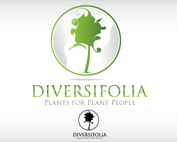 Logo Design entry 282499 submitted by muzzha to the Logo Design for DIVERSIFOLIA LLC run by jmveil