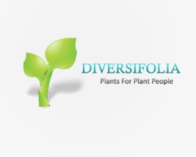 Logo Design Entry 282420 submitted by m4ry3n to the contest for DIVERSIFOLIA LLC run by jmveil