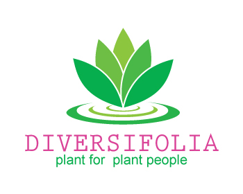 Logo Design entry 282481 submitted by markova to the Logo Design for DIVERSIFOLIA LLC run by jmveil