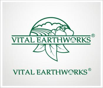 Logo Design entry 296493 submitted by celldesign to the Logo Design for Vital Earthworks run by adam15