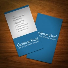 Business Card & Stationery Design Entry 297190 submitted by brandasaur to the contest for Caedmon Fund run by firstpage