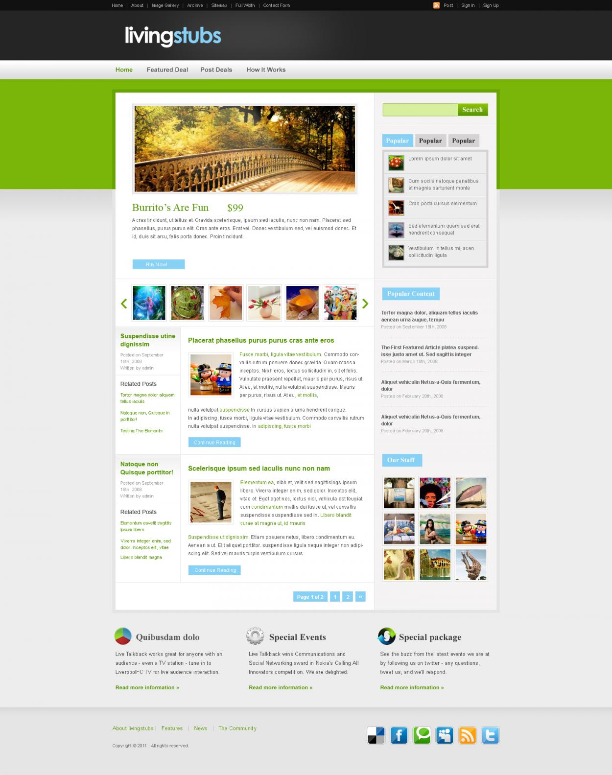 Web Design entry 300496 submitted by dragnoir