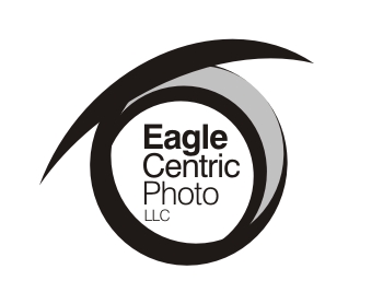 Logo Design entry 300132 submitted by nehdesign to the Logo Design for Eagle Centric Photo run by Eagle II