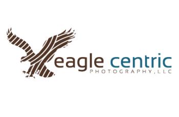 Logo Design entry 300132 submitted by HisEye4Dezign to the Logo Design for Eagle Centric Photo run by Eagle II