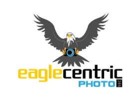 Logo Design entry 300111 submitted by greycrow to the Logo Design for Eagle Centric Photo run by Eagle II