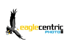 Logo Design entry 300128 submitted by ACEdesign to the Logo Design for Eagle Centric Photo run by Eagle II