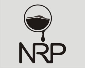 Logo Design entry 305639 submitted by strophonic to the Logo Design for NRP PROJECTS PRIVATE LIMITED  run by sirramesh