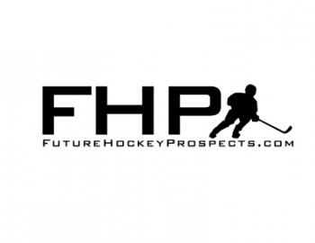 Logo Design entry 313679 submitted by redbirddesign to the Logo Design for FutureHockeyProspects.com run by Billy.ryan14